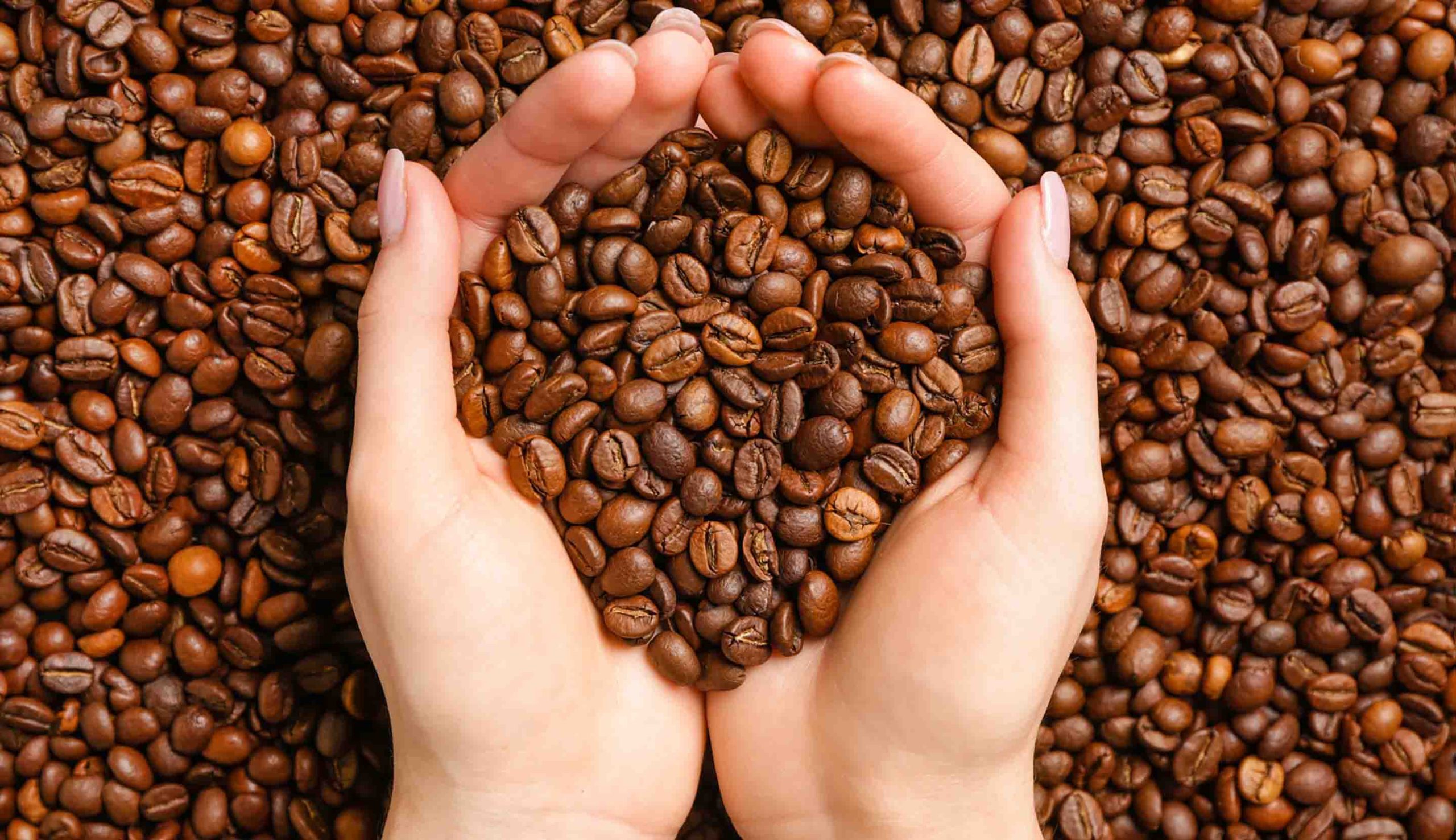 Fakta Unik Kopi