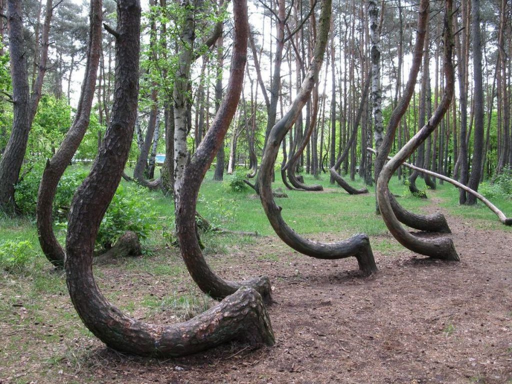 Tempat Paling Misterius