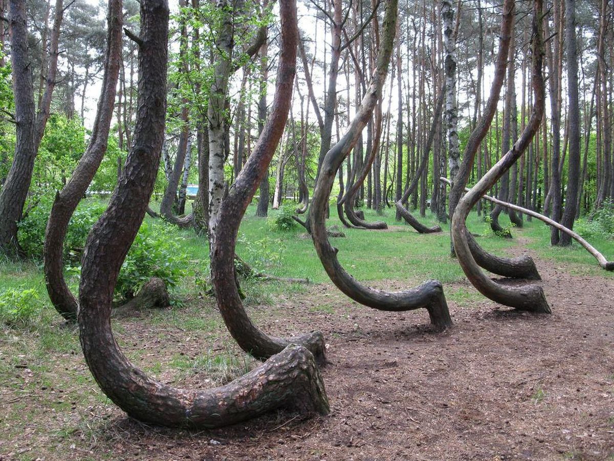 Tempat Paling Misterius