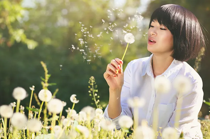 Fakta Menarik Bunga Dandelion