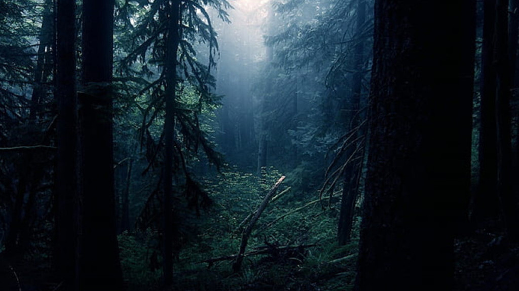 Hutan Di Indonesia Yang Terkenal Angkernya