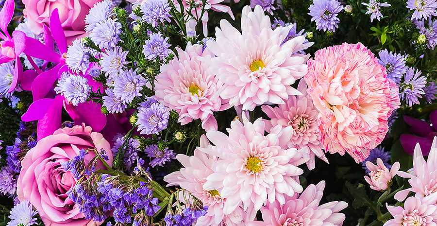 Fakta Menarik Jenis Bunga Serta Makna dan Artinya