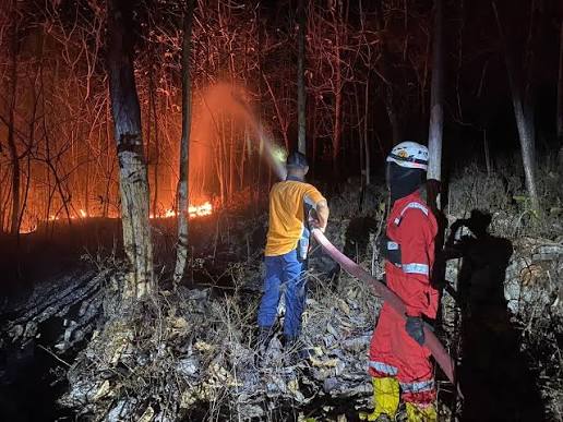 Faktor Penyebab Kebakaran Dan Upaya Pencegahan Kebakaran