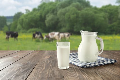 Fakta Menarik Susu Yang Harus Di Ketahui